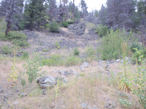 GDMBR: We were passing through an old lava rock area.